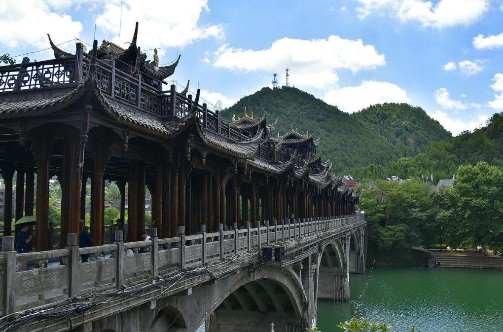 “一花一世界,一叶一如来”这句话出自哪里- 专业有问必答平台,寻找答案的最佳选择